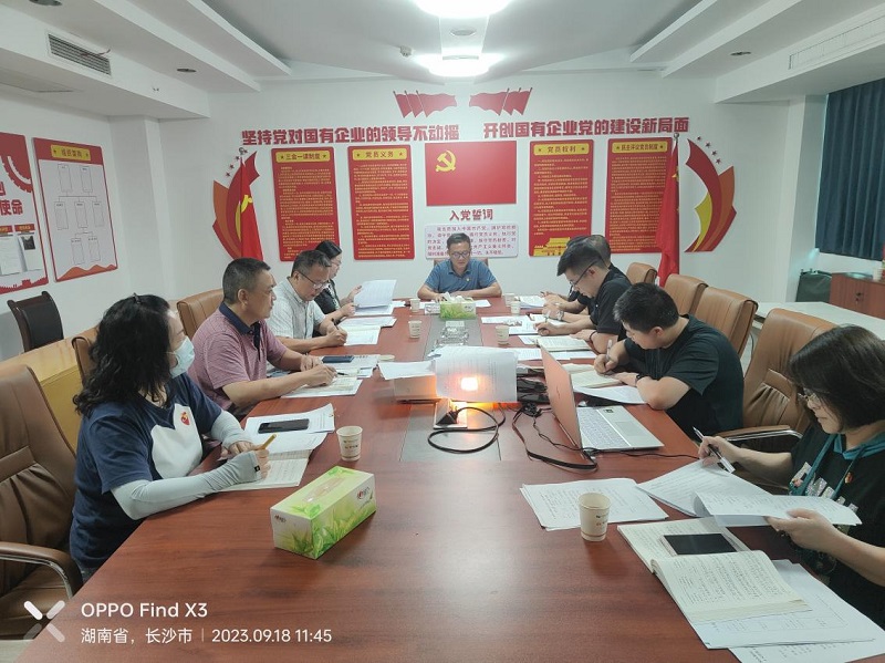 湖南糧油進出口集團黨委書記、董事長葉蓁以普通黨員身份參加所在黨支部主題教育專題組織生活會